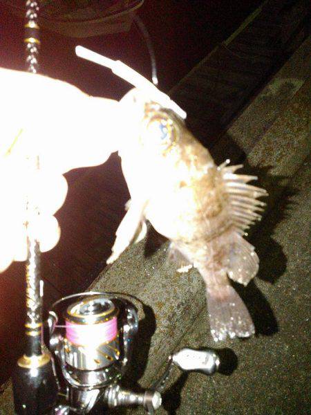 大潮満月ド干潮で目張炸裂逆転満塁ホームラン…